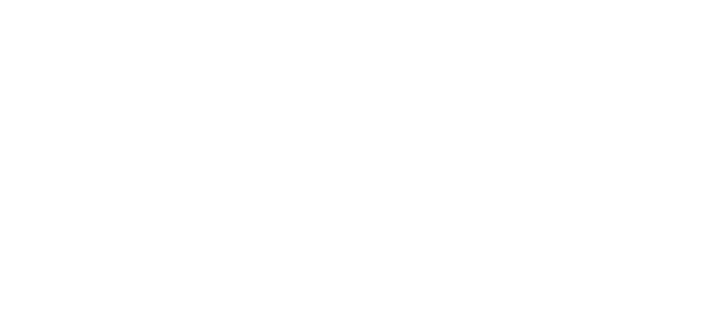 Hobo the Magnificent